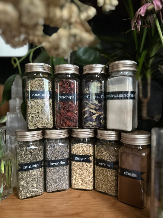 the apothecary
